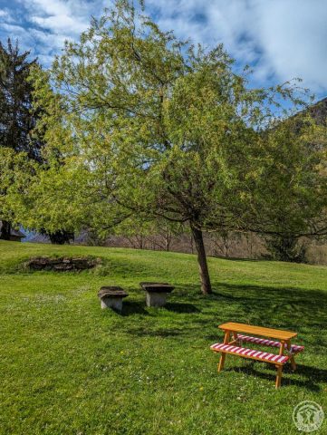 31G100355-810e3ea63e02438089581648ed366f52