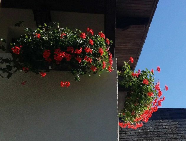 31G100355-8373eafde43c48b99ae94aa7b19deed5