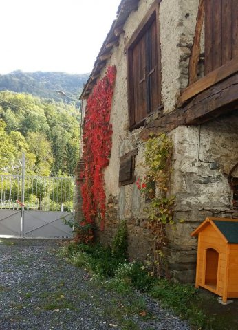 31G100355-c3daf23caee14d37994a9ef3d229db6d