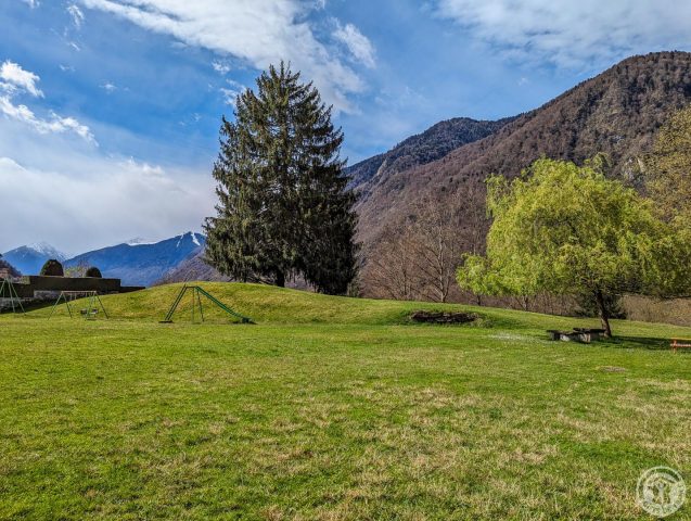 31G100355-d8d898c6c43e4390955d502551cc4356