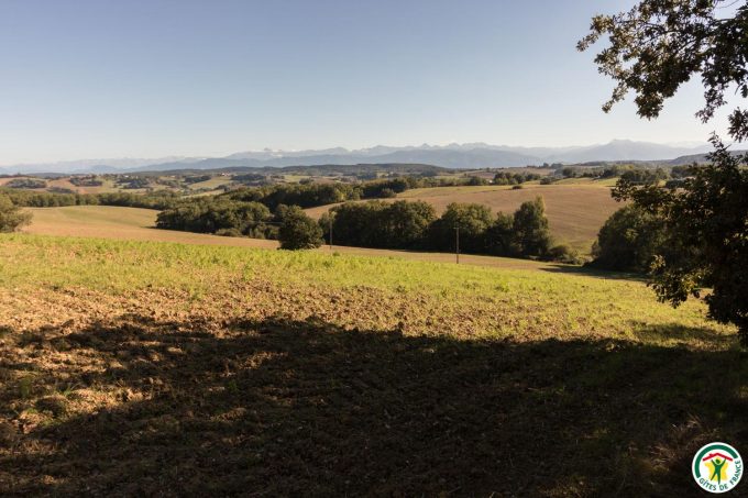 31G100358-2744174a6d8c436bb6074b2f47fe459f