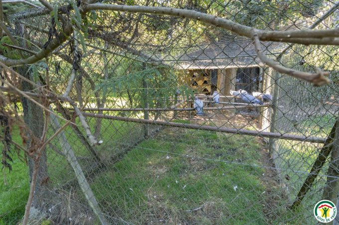 31G100358-5a92ecf5dc4e49f6bad3fa25201eb0ac