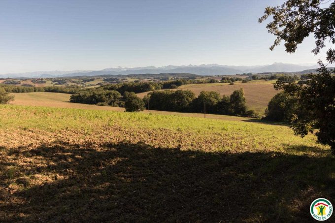 31G100358-6f675db02bf24438860f960ad37d16e1