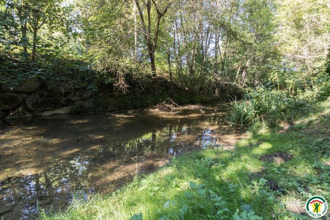 31G100358-a64aeccae1224c6cb9c882f4ccbc664a