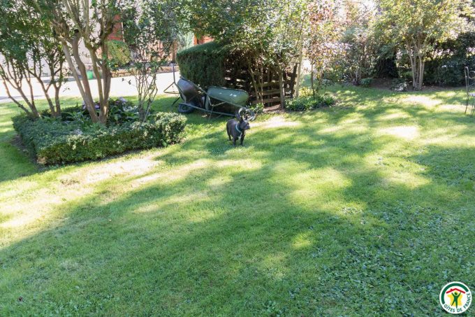 31G100358-bff1b95ce3f54b1292c62383edfb3dd2