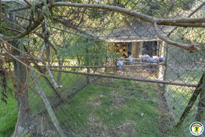 31G100358-e0484a3872614e3c82ee0aa9b646f52f