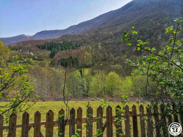 31G100360-1371fe32bd1645a0800b04180327bb85