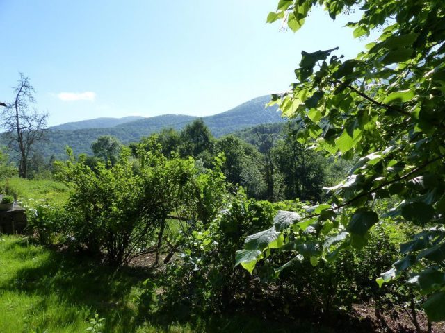 31G100360-174969abc6fb4527b977f1d2a24a96ee