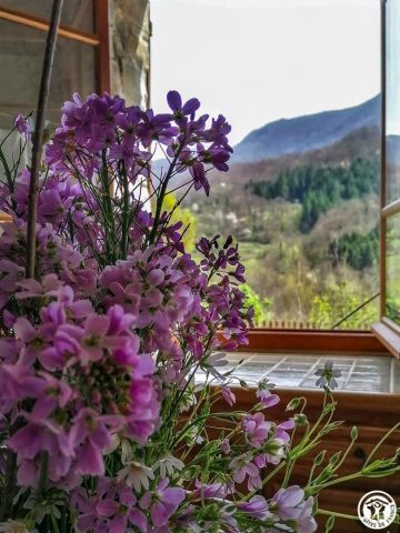 31G100360-323fd8f9b24f4b0ab5b70909a6ce39ac