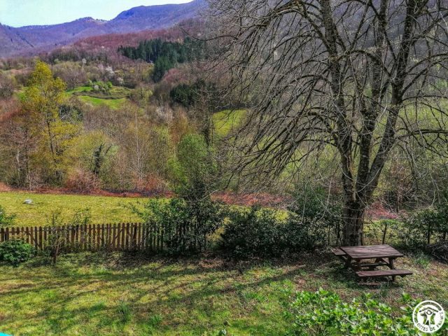 31G100360-6d07cace79b84b82973304692131665d