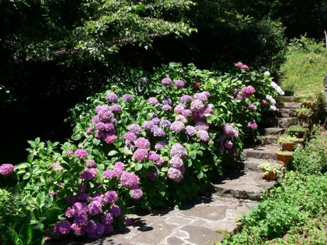 31G100360-82cbc93a2ca348cebe4d2a7d3aa95750