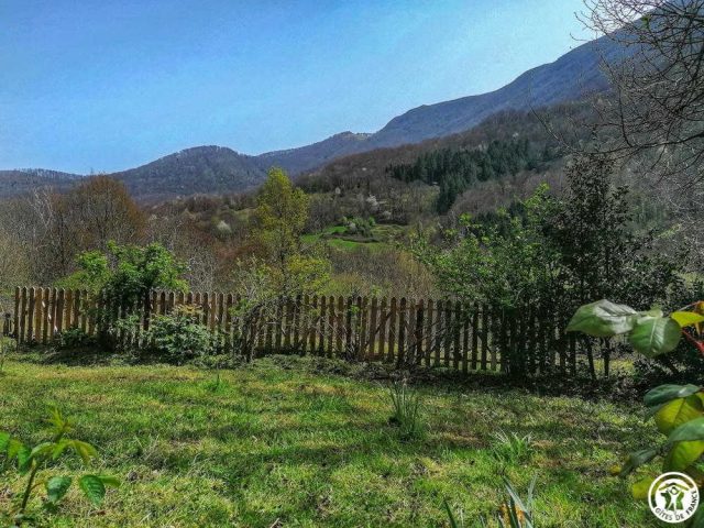 31G100360-d350e18765604b0bbfd2ef500a9c0fa6