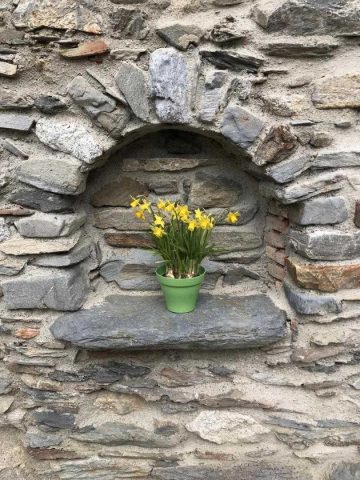 31G100375-02ba1edf79c84dd394e7c3dcb5ac53fe