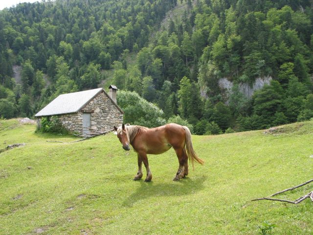 31G100403-636228c877ef4655b3d33eb66da63a66