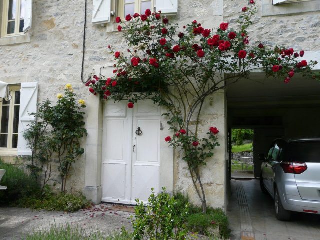 31G100403-6dff479e8d2e4fe7b884a0917d359475