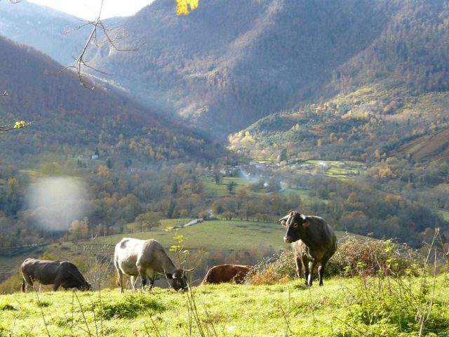 31G100403-b213c99de35240eba61883fe2bd4557c