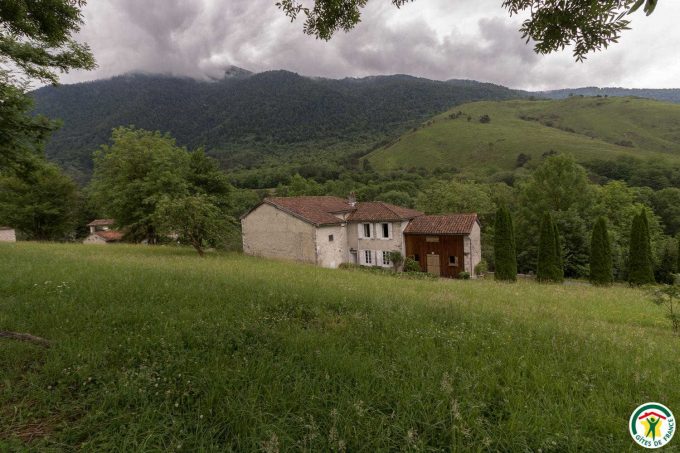 31G100403-b6b6f5fb50ad4fc88b4c2779272f8c4f