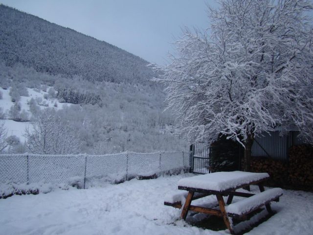 31G100445-2e4fe93119f144eabb566a8487f28613