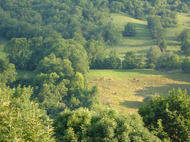 31G100445-5360c269864545b985681949f3f8127c