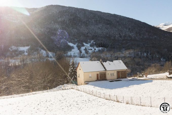 31G100445-6f6d2923e1a84f87b7d5dc6b8abcff2a