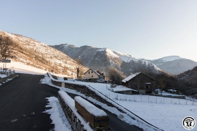 31G100445-d29be6c0b03b44c7991910adcd8d0af7