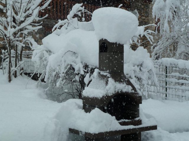 31G100446-05f7fa69559f44a38412f8e7fea21c1d