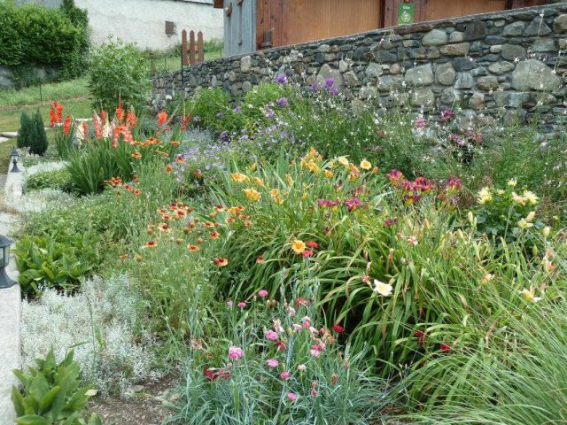 31G100446-32ce6406f54f4d00852f43463777034e