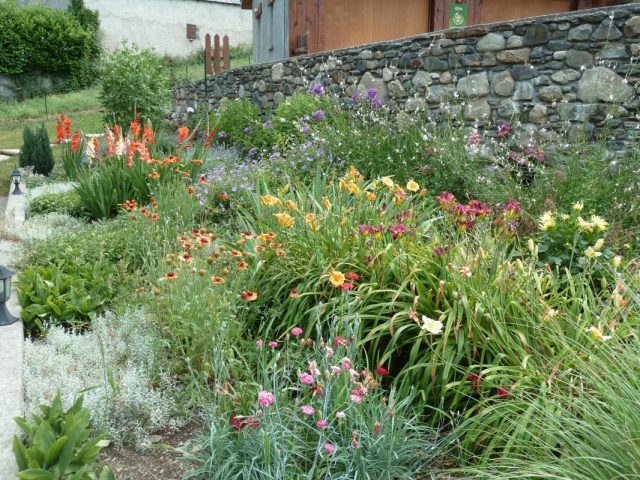 31G100446-51b1776bd9db4d718551eec2da534415