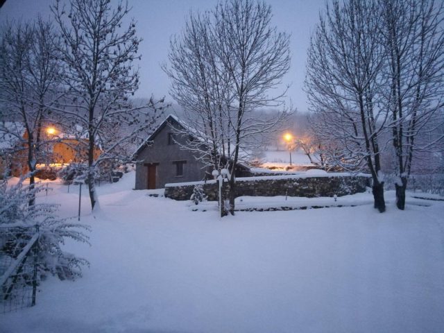 31G100446-61ca70cb10af47b0a58675401fdde0c4