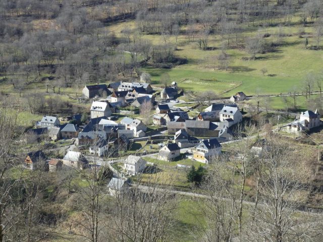 31G100446-8c5ba798d3574bcdb9c254ee6003da61