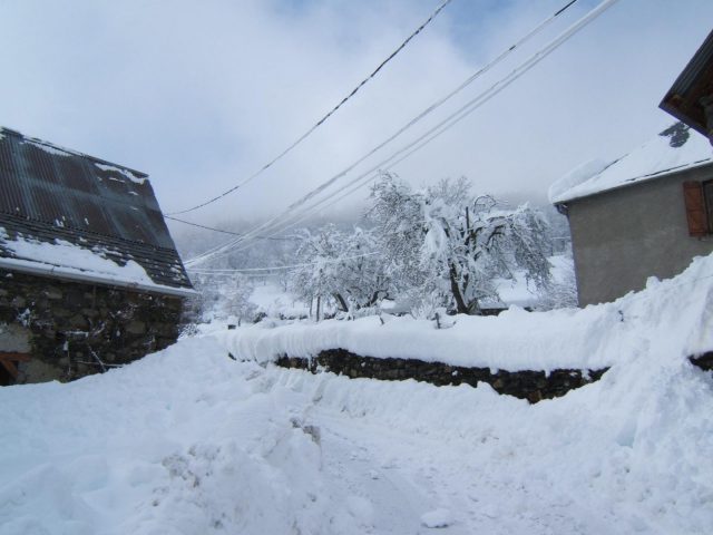 31G100446-fb5c2c4a28ba4cf492de7f63eaf66c5a