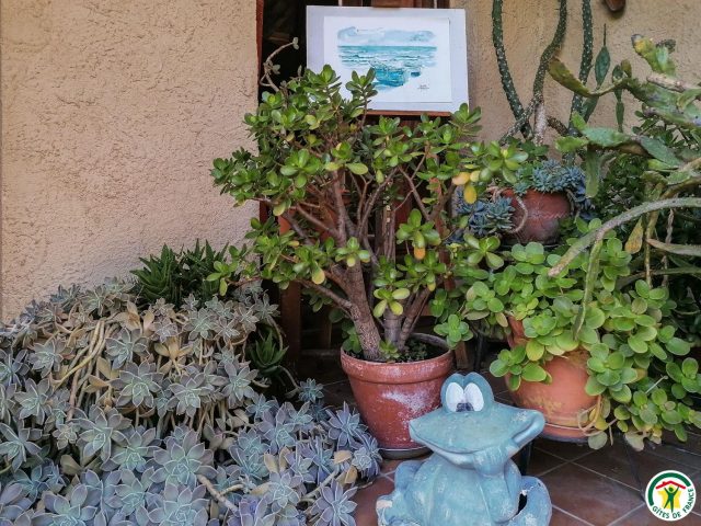 31G100456-151a20fc5ce640f593541a62b5548f57