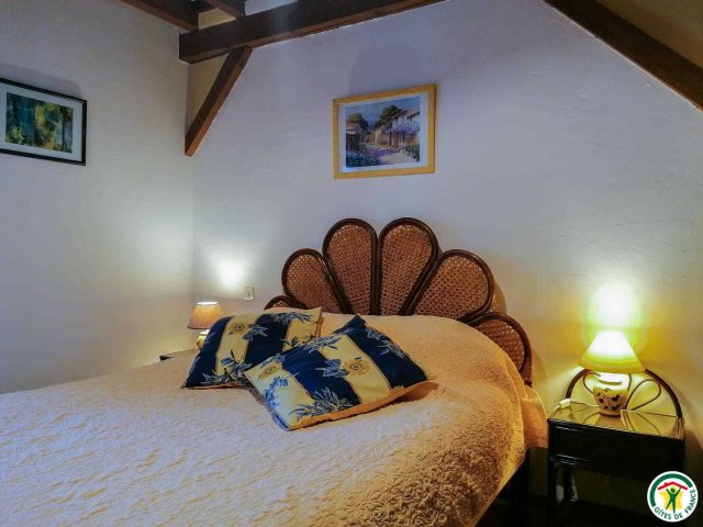 31G100456-1df9f6cc0de54cdc948e1156e8569704