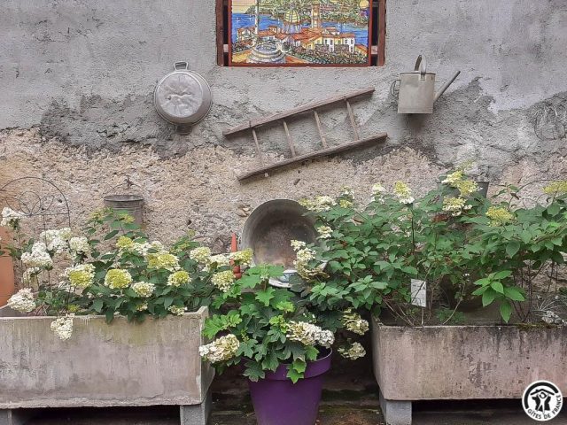 31G100456-4f9df674fad442908ec78972f8977902