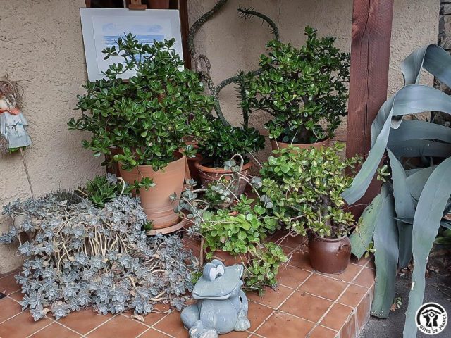 31G100456-5e8797571755492aa378ef80abfae9b7