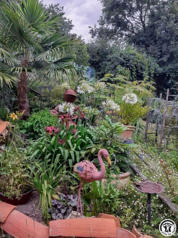 31G100456-83ae30189cdb4631abe2d25c94ccd857