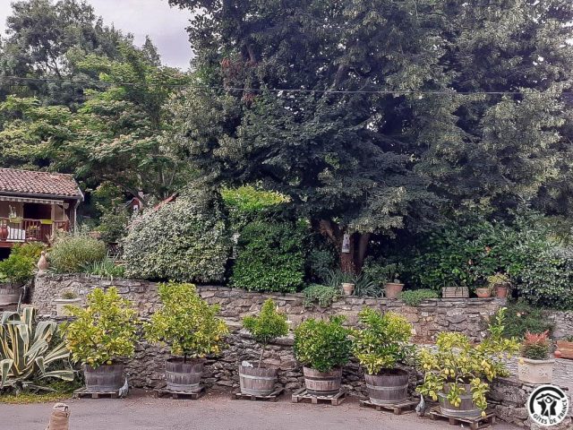 31G100456-c235c90d1f574338a8ea71f373ab8c20