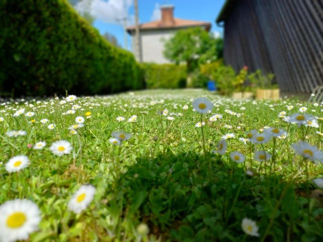 31G100471-09c6fa1f434c471cbc4742fbb2928093