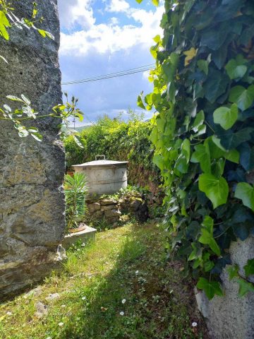 31G100471-32ae7e16b4bd4f189a75b0b0c8918bb8