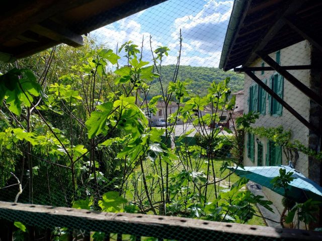 31G100471-6a936ffb13364016b4640d198f707f45