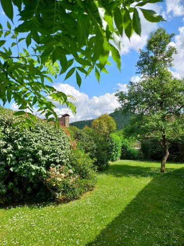 31G100471-86e18fa70a94413eb2e7d40cba405d13