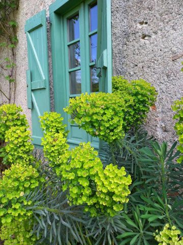 31G100471-9a771b334b4344e29d832b854a530ecd