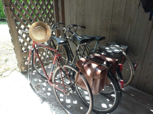 31G100471-9bdd4870b96441a688eebbd85b2b18cf