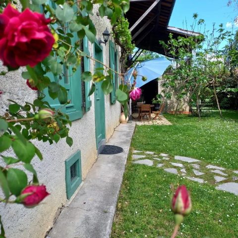 31G100471-b6ae42e2fdf34471b07a22914b6f4796