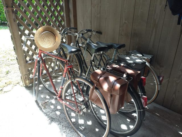 31G100471-cde7f92f65f643cc9f6459249a1d8674