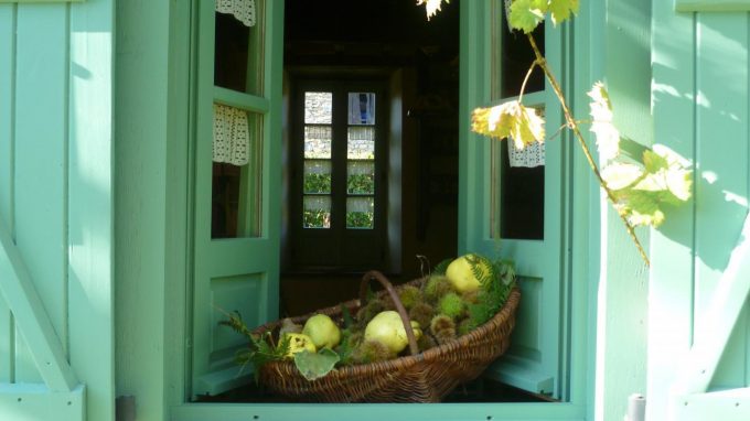 31G100471-d782cf9ac8fa4fc995903ef042771a6b