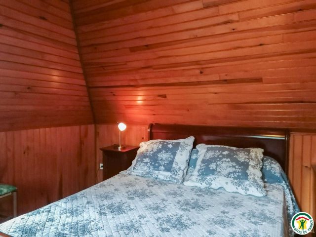 31G100492-15bfe35e23d64caaa787fa549120c1ac