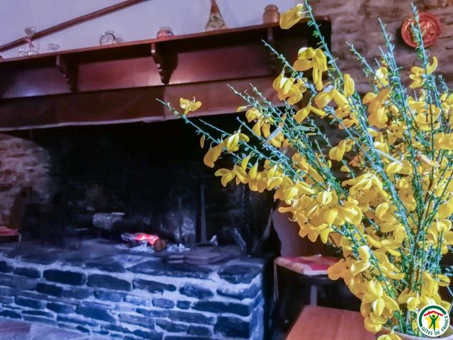 31G100492-ccdbd7e04f424358982d4295005039ce