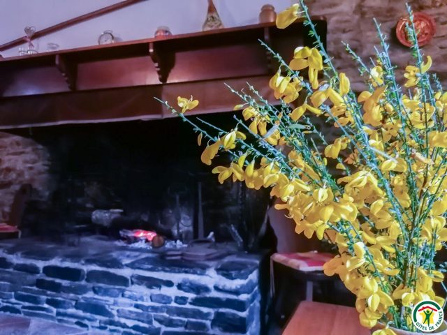 31G100492-f7946cf9d26a4bc7b10f6678466ba0db