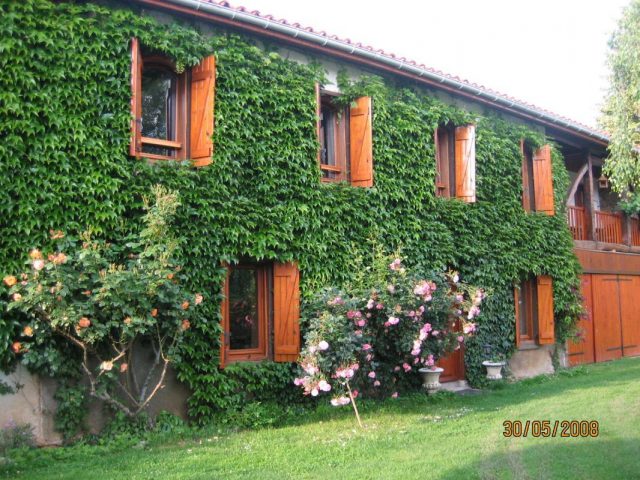 31G100509-6e2e6890f88947068deb5aa37bc69bf5